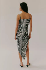 Saemdi Zebra Mesh Dress